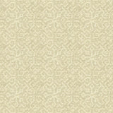 Lee Jofa CHANTILLY WEAVE BEIGE Upholstery Fabric