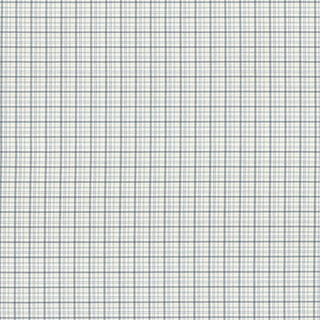 Kasmir Willow Plaid Denim Fabric