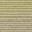 Schumacher Petra Stripe Grass Fabric