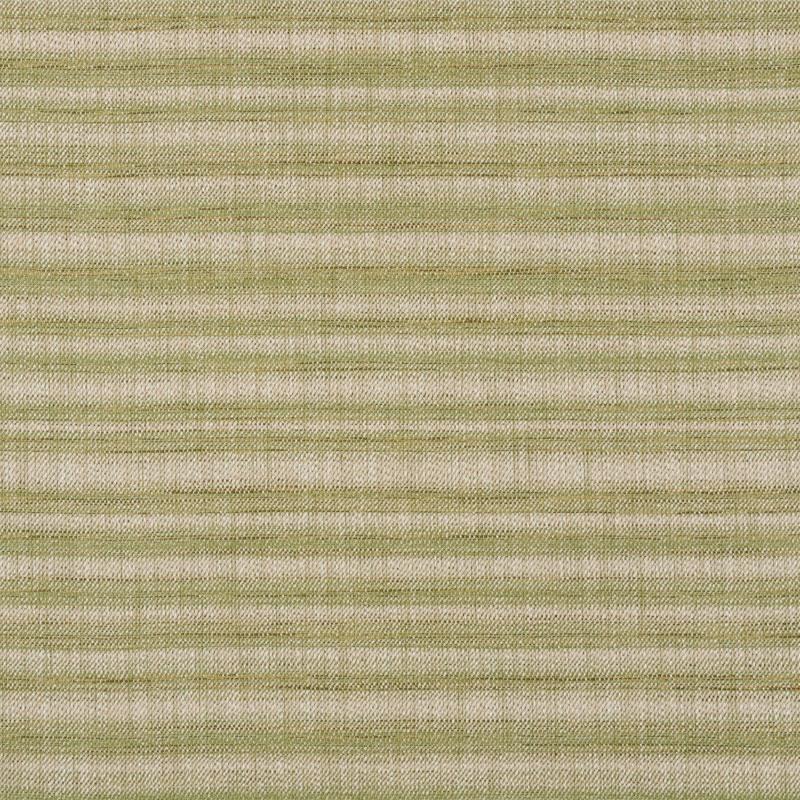 Schumacher Petra Stripe Grass Fabric