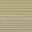 Schumacher Petra Stripe Grass Fabric