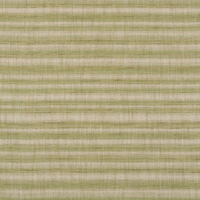 Schumacher Petra Stripe Grass Fabric