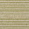 Schumacher Petra Stripe Grass Fabric