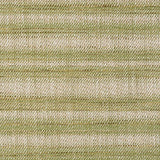Schumacher Petra Stripe Grass Fabric