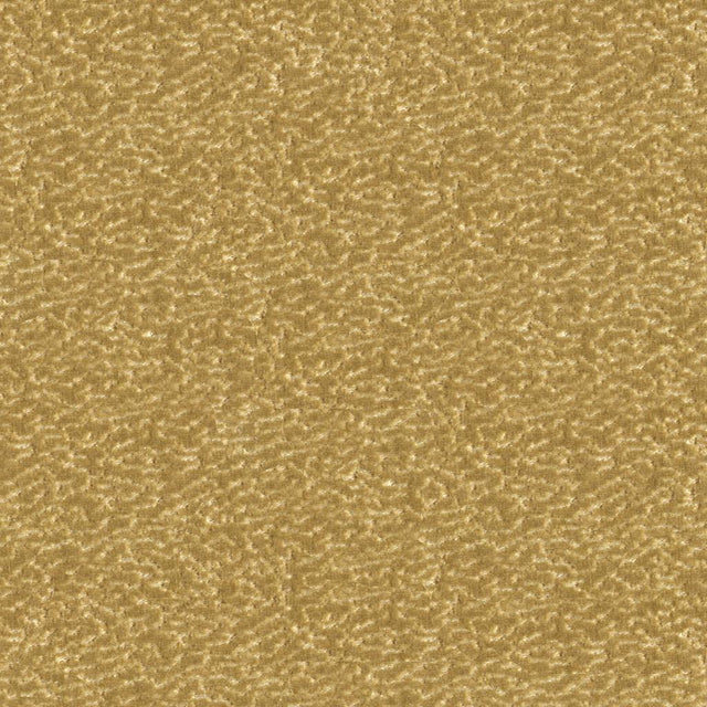 Kravet TURN HEADS VANILLA Upholstery Fabric