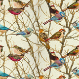 Kravet COUTURE SPARROWS2 916 Fabric