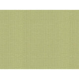 Kravet WATERMILL LICHEN Fabric
