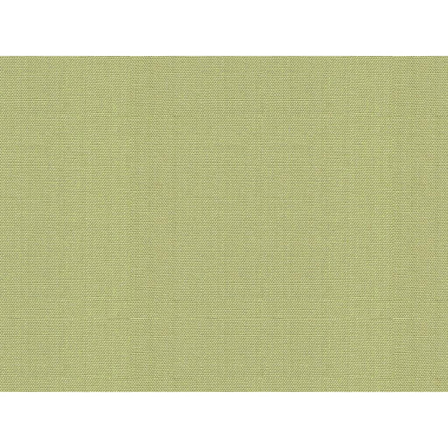 Kravet WATERMILL LICHEN Fabric