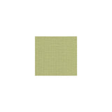 Kravet Watermill Lichen Fabric