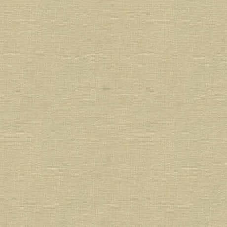 Lee Jofa DUBLIN LINEN NATURAL Fabric