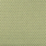 Lee Jofa ALTURAS LEAF Upholstery Fabric