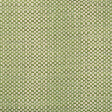 Lee Jofa Alturas Leaf Fabric
