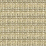 Kravet NOTHING MISSING PUTTY Upholstery Fabric