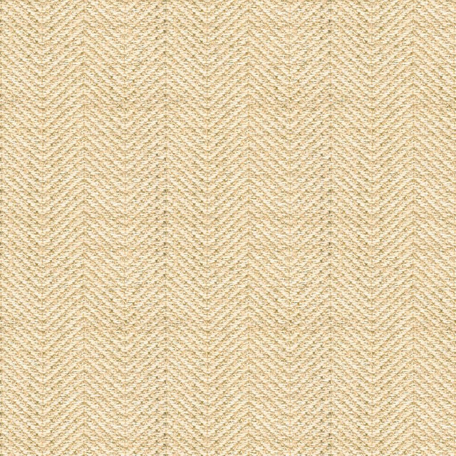 Kravet SMART 30666 1116 Upholstery Fabric