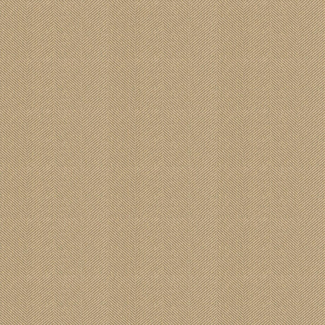 Kravet CLASSIC CHEVRON RYE Upholstery Fabric