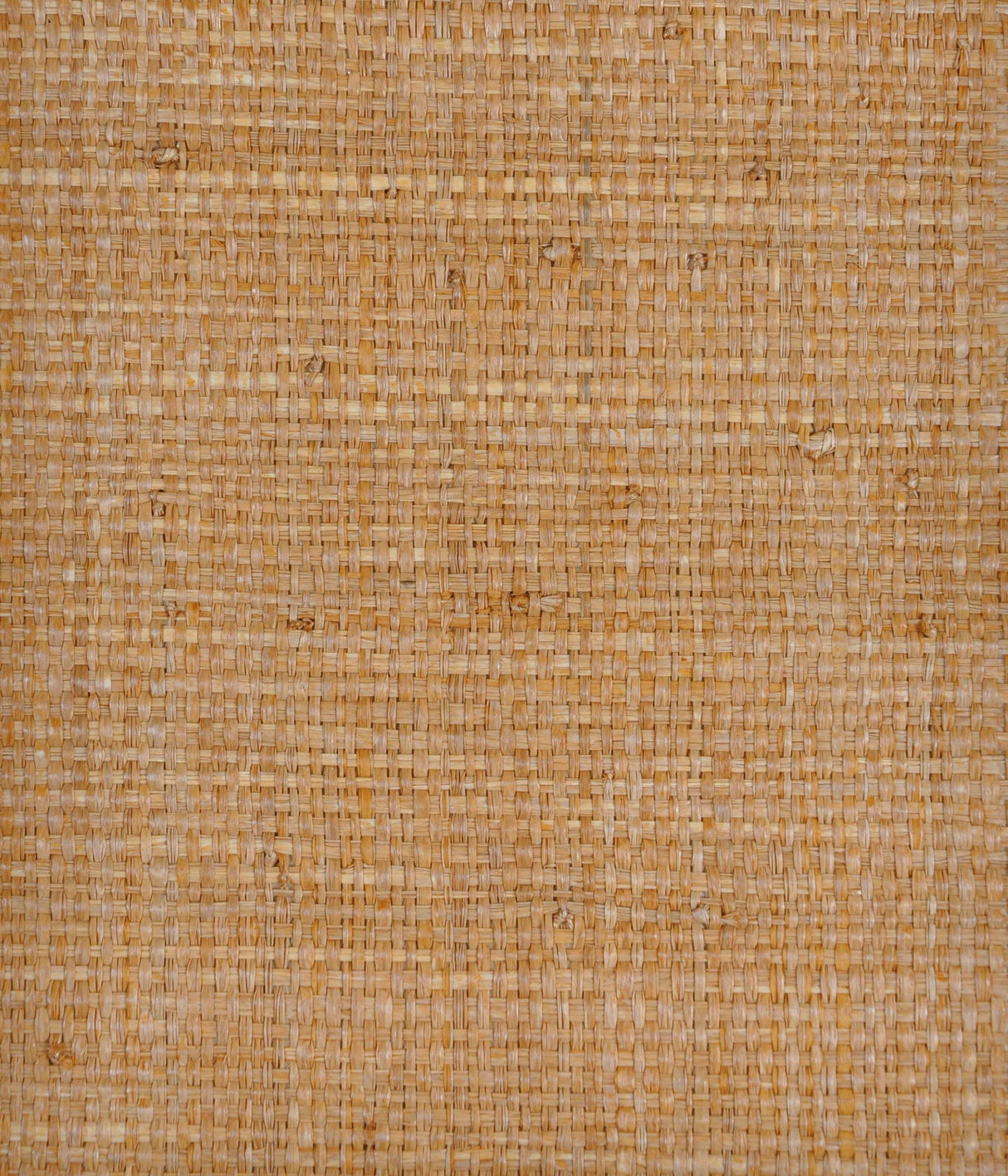 Kravet DESIGN W3261 414 Wallpaper