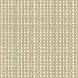 Kravet RARE COIN PLATINUM Upholstery Fabric