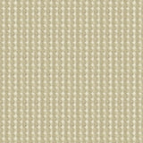 Kravet RARE COIN PLATINUM Upholstery Fabric