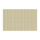 Kravet Rare Coin Platinum Fabric