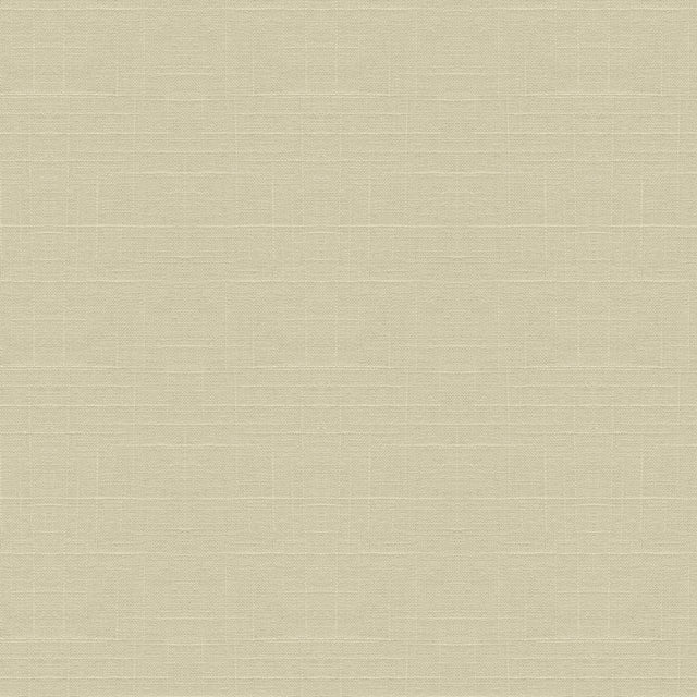 Kravet BASICS 30808 1 Fabric