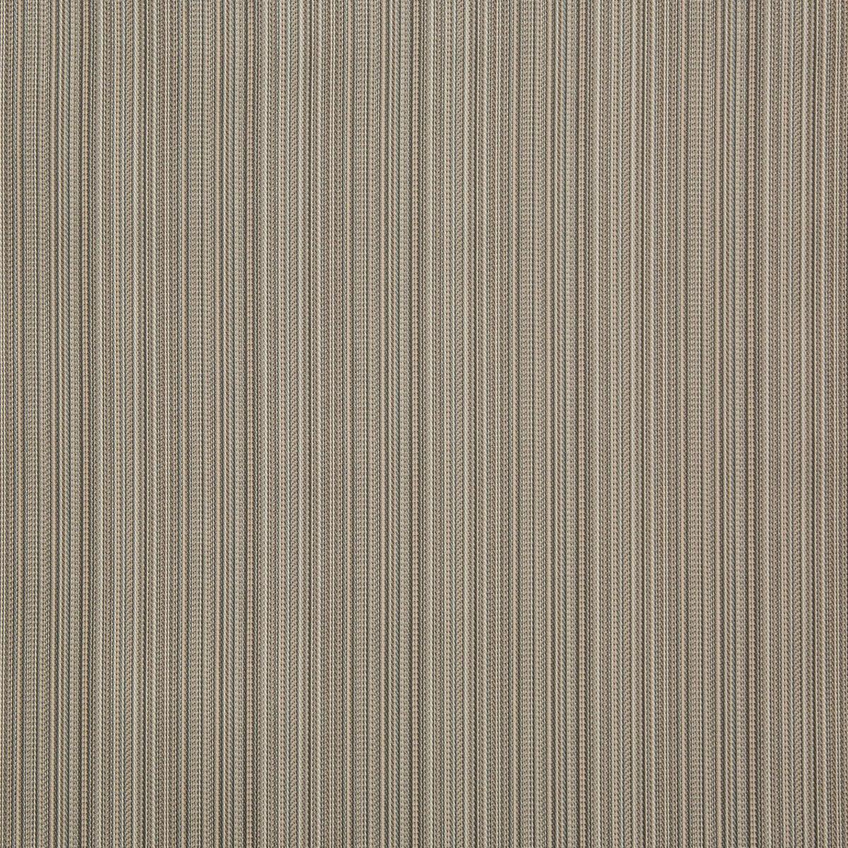 Kravet Walk The Path Rain Fabric