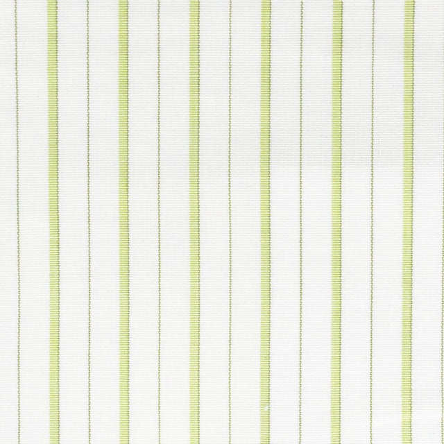 Stout COMANCHE CLOVER Fabric