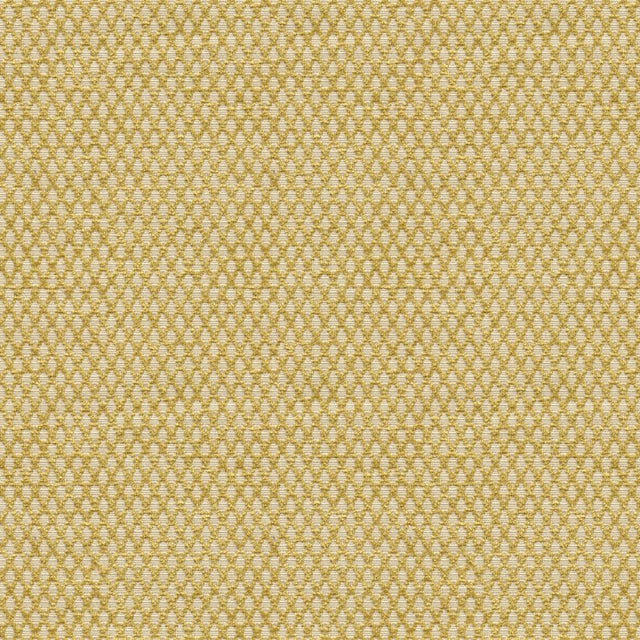 Kravet DESIGN 31373 14 Upholstery Fabric