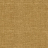 Kravet LEISURE CHINO Fabric