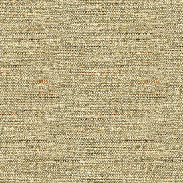 Kravet BASICS 33135 106 Fabric