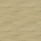 Kravet BASICS 33135 106 Fabric