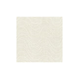 Kravet Spot On Blanc Fabric