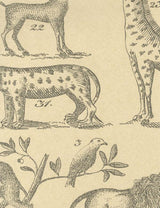 Andrew Martin ARK PARCHMENT Wallpaper