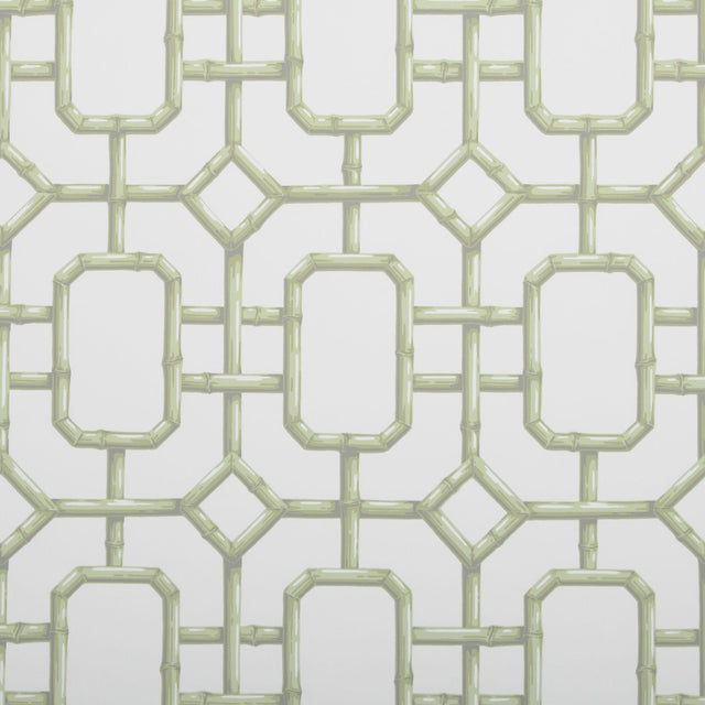 Kravet BAMBU FRET CELERY Wallpaper