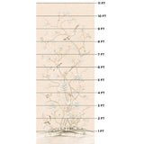 Schumacher Chinois Palais Blush Conch Fabric