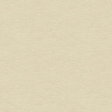 Lee Jofa DUBLIN LINEN SAND Fabric