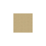 Kravet Venetian Wheat Fabric