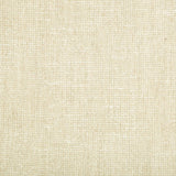 Kravet SKIFFLE STONE Fabric