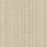 Kravet TRIED AND TRUE ICE Upholstery Fabric