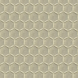 Kravet CAPTURE LUXURY MOONSTRUCK Drapery Fabric