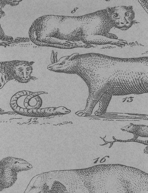 Andrew Martin ARK CLOUD Wallpaper