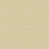 Kravet DO THE HUSTLE PLATINUM Upholstery Fabric