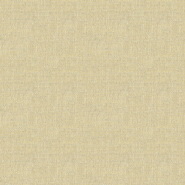 Kravet DO THE HUSTLE PLATINUM Upholstery Fabric