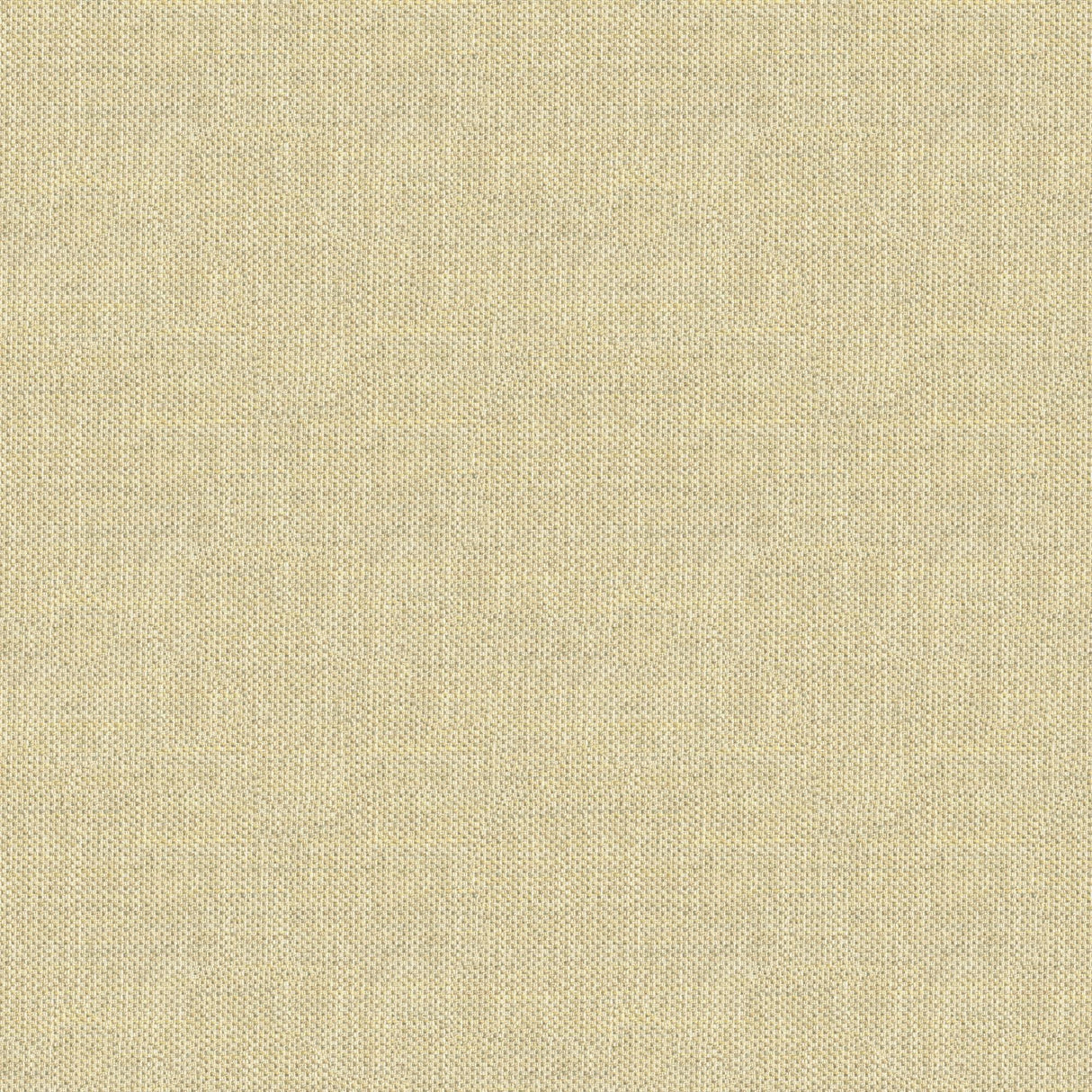 Kravet DO THE HUSTLE PLATINUM Upholstery Fabric