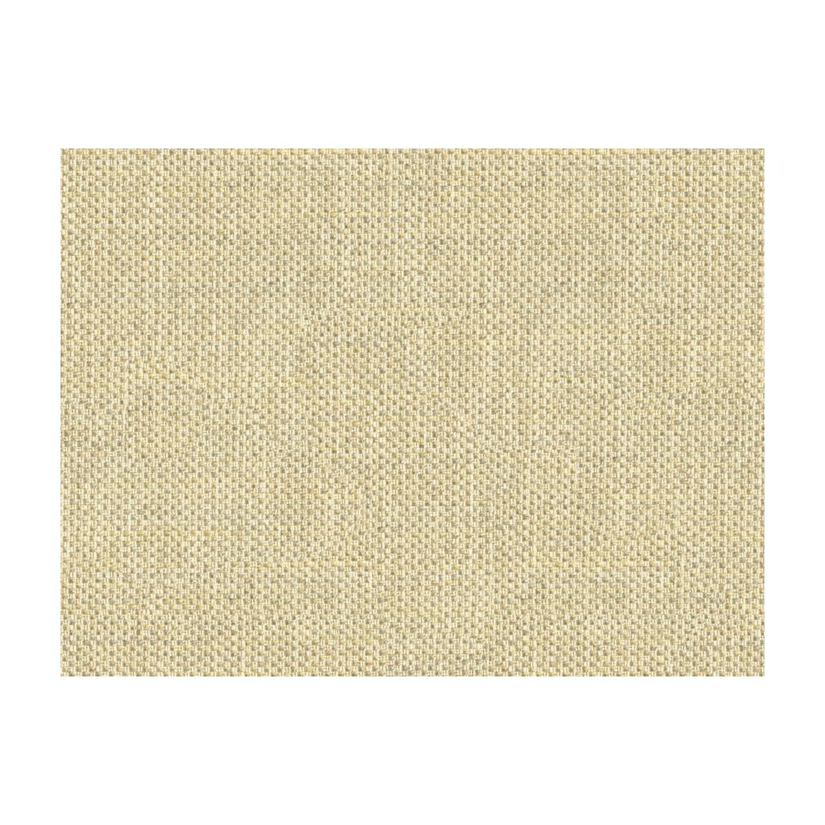 Kravet Do The Hustle Platinum Fabric