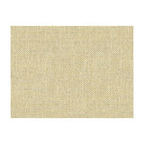 Kravet Do The Hustle Platinum Fabric