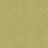 Kravet MADISON LINEN LIME Fabric