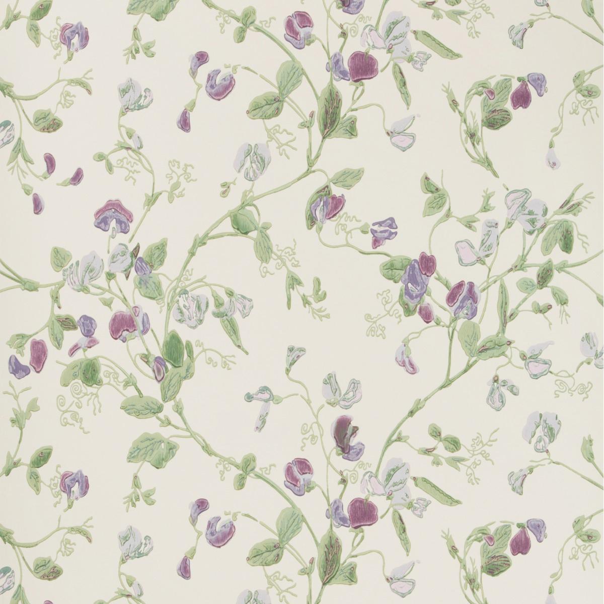 Cole & Son SWEET PEA VIOLET Wallpaper