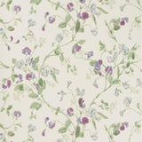 Cole & Son SWEET PEA VIOLET Wallpaper