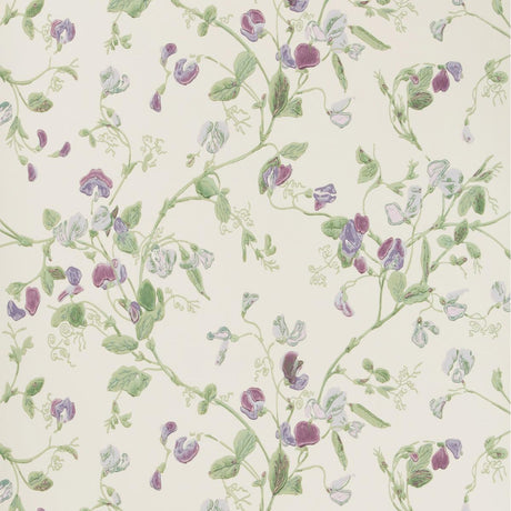 Cole & Son SWEET PEA VIOLET Wallpaper