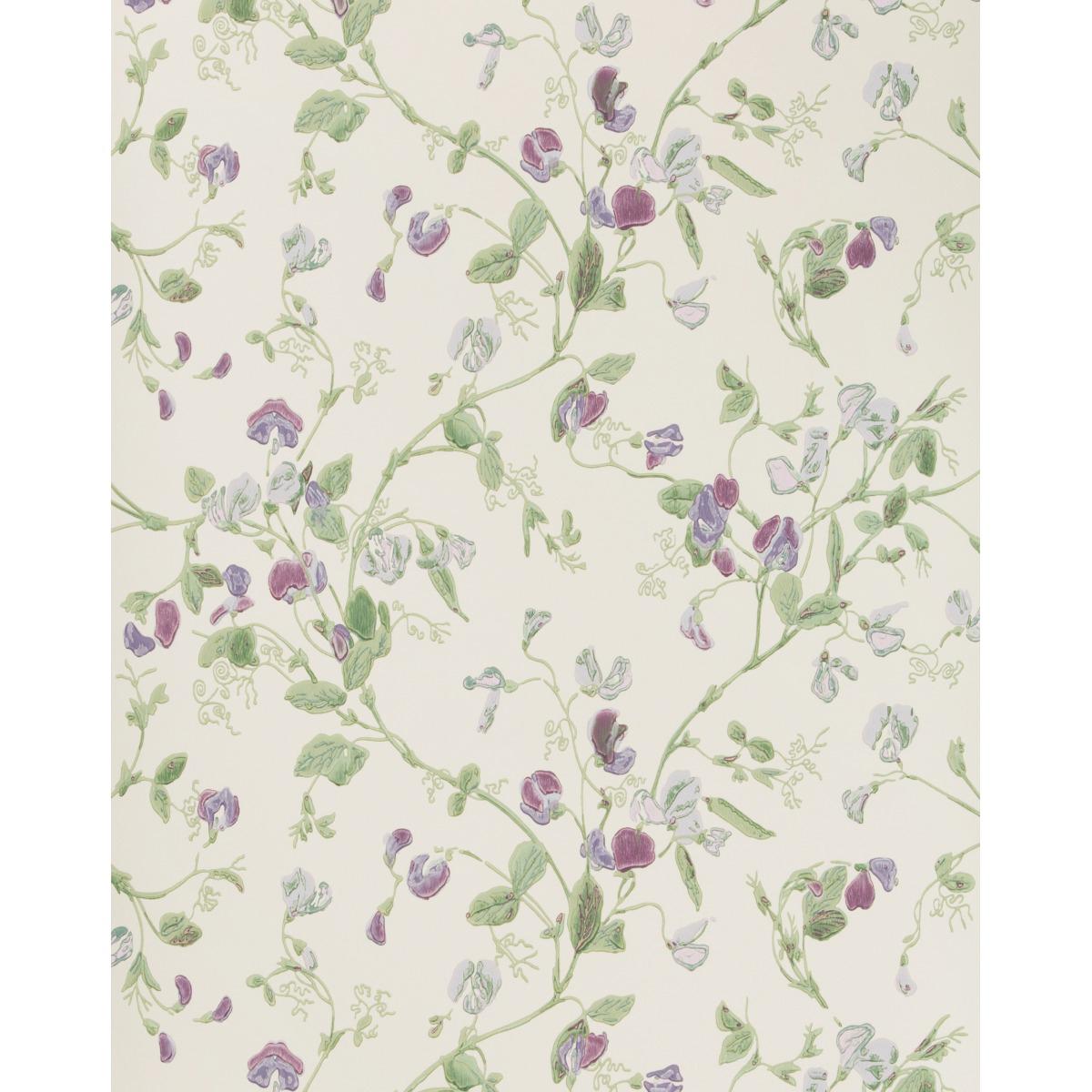 Cole & Son SWEET PEA VIOLET Wallpaper